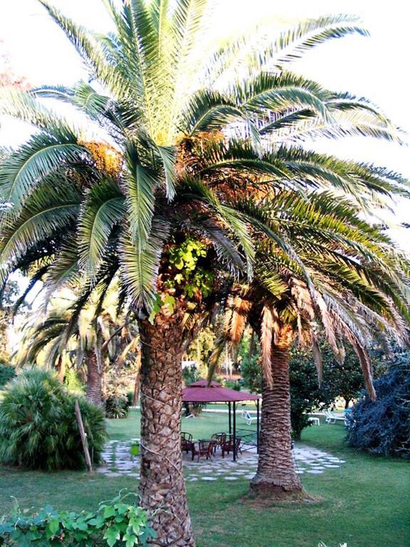 Hotel Parco Dei Principi Anzio Quarto foto